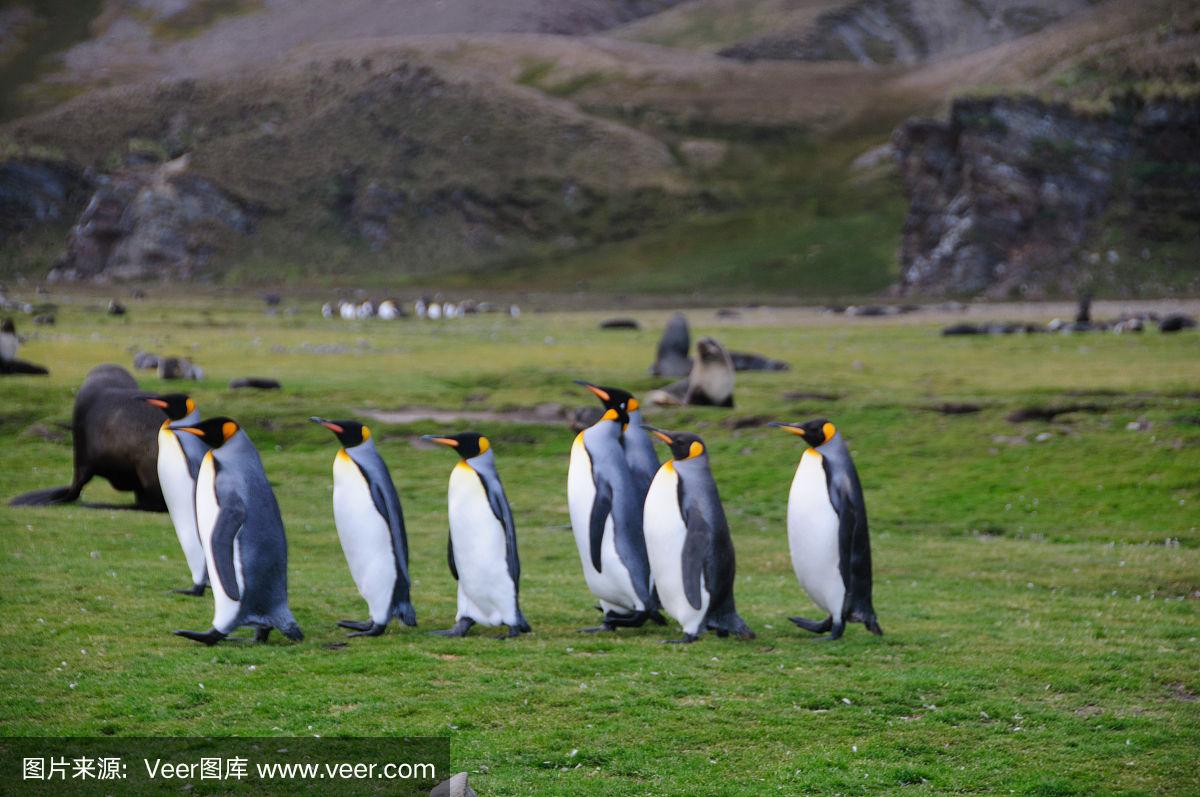 aoa体育培训-关于福尔图纳队员努力奋斗取得意外胜利的信息